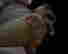 item-49930207=10