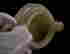 item-49930207=4
