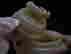 item-49930207=7