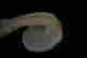 item-49930211=5