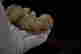 item-49930216=4
