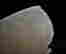 item-49930218=13