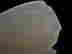 item-49930218=7