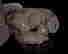 item-49930221=6