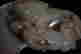 item-49930221=9