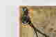 item-49930364=13