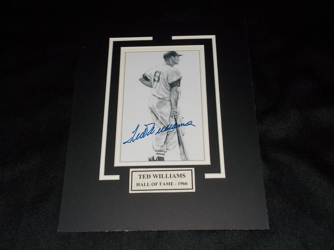 Ted Williams (1 of 1)
