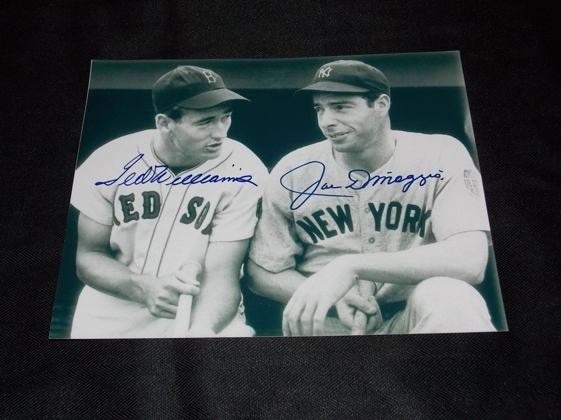 DiMaggio & Williams (1 of 1)