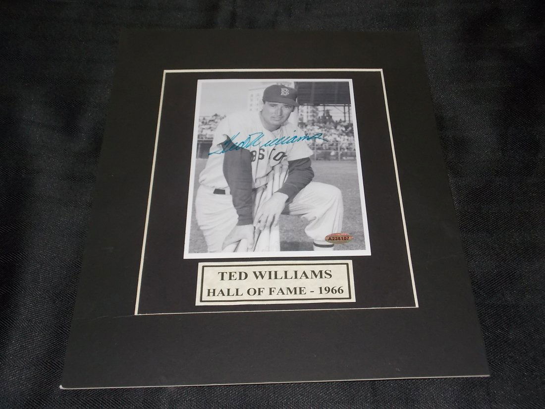 Ted Williams (1 of 1)