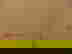 item-646709=2
