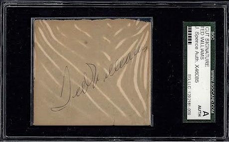 Ted Williams Cut Signature Encapsulated by SGC: Ted Williams Cut Signature Encapsulated by SGC Certified by JSA X46085