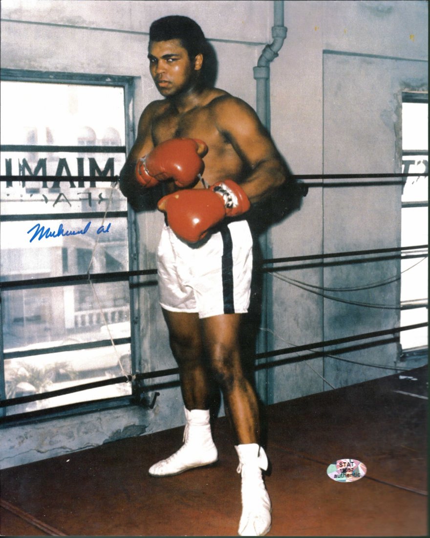 Muhammad Ali Signed 8 x 10 Certified by STAT: Muhammad Ali Signed 8 x 10 Certified by STAT