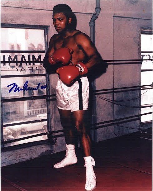 Muhammad Ali Signed Photograph AAU: Muhammad Ali Signed Photograph AAU F12409 measures 8 x 10 inches Ali is posing by the ropes.