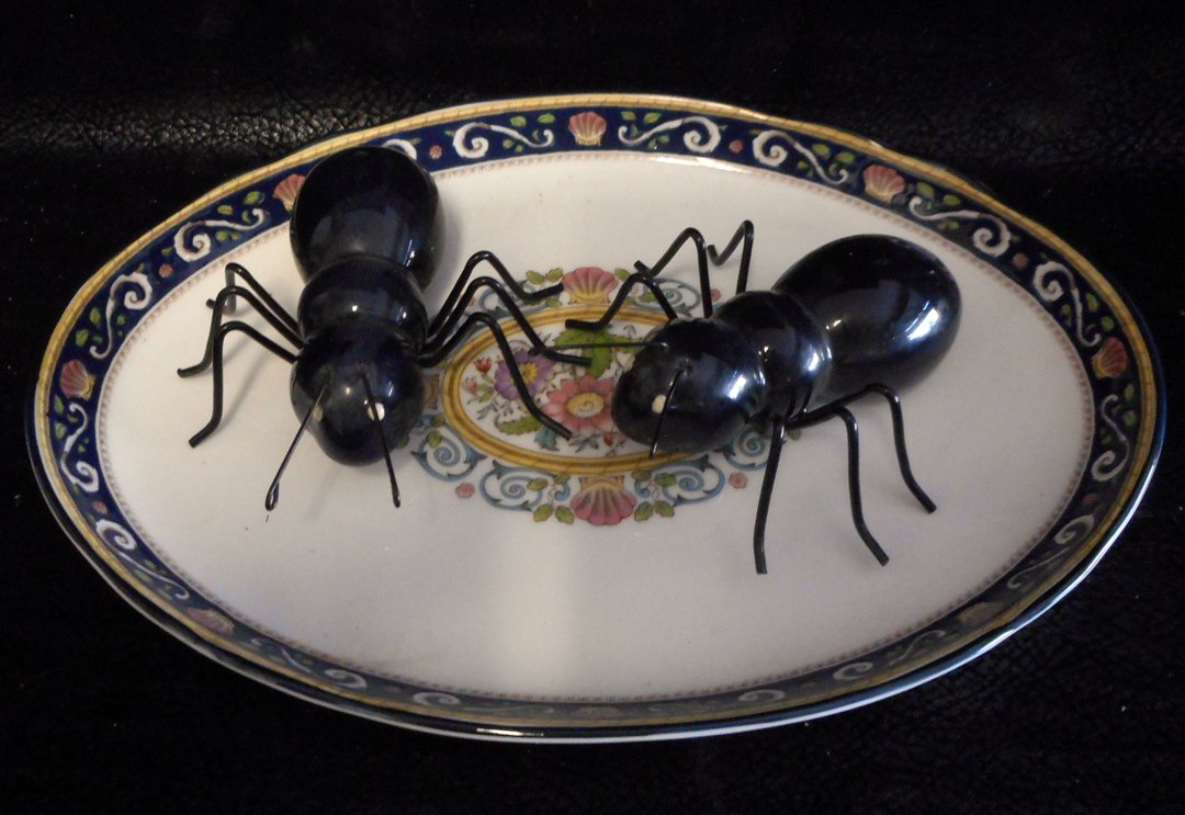 Ants Salt and Pepper Shaker on a Wedgewood Dish: The salt and pepper shakers do not have a bottom cap to keep the ingredients in but I am sure you can find some. The ants are awesome. I am throwing the Wedgewood dish in so some of you don't give me 