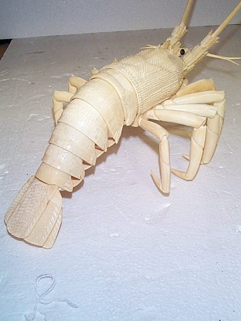 Unusual carved ivory lobster, has moving parts, me - 2