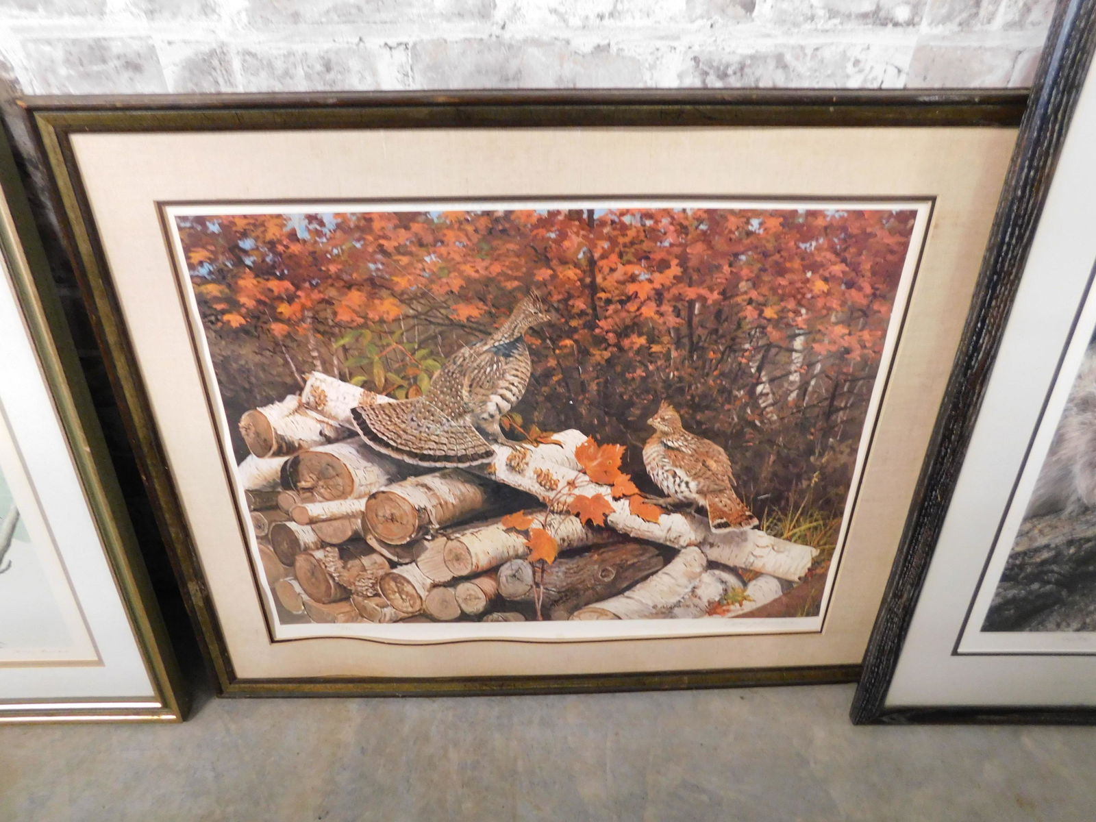 Framed Lithograph of Birds (1 of 1)