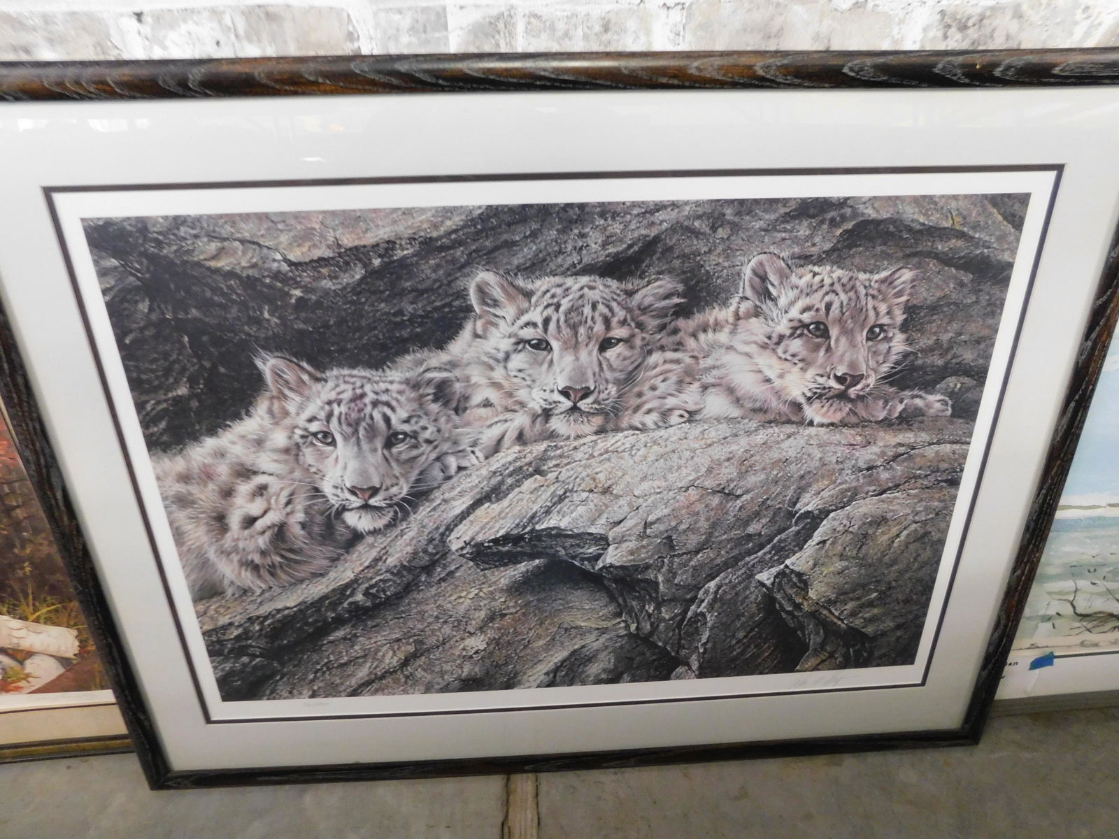 Framed Snow Leopard Lithograph (1 of 1)