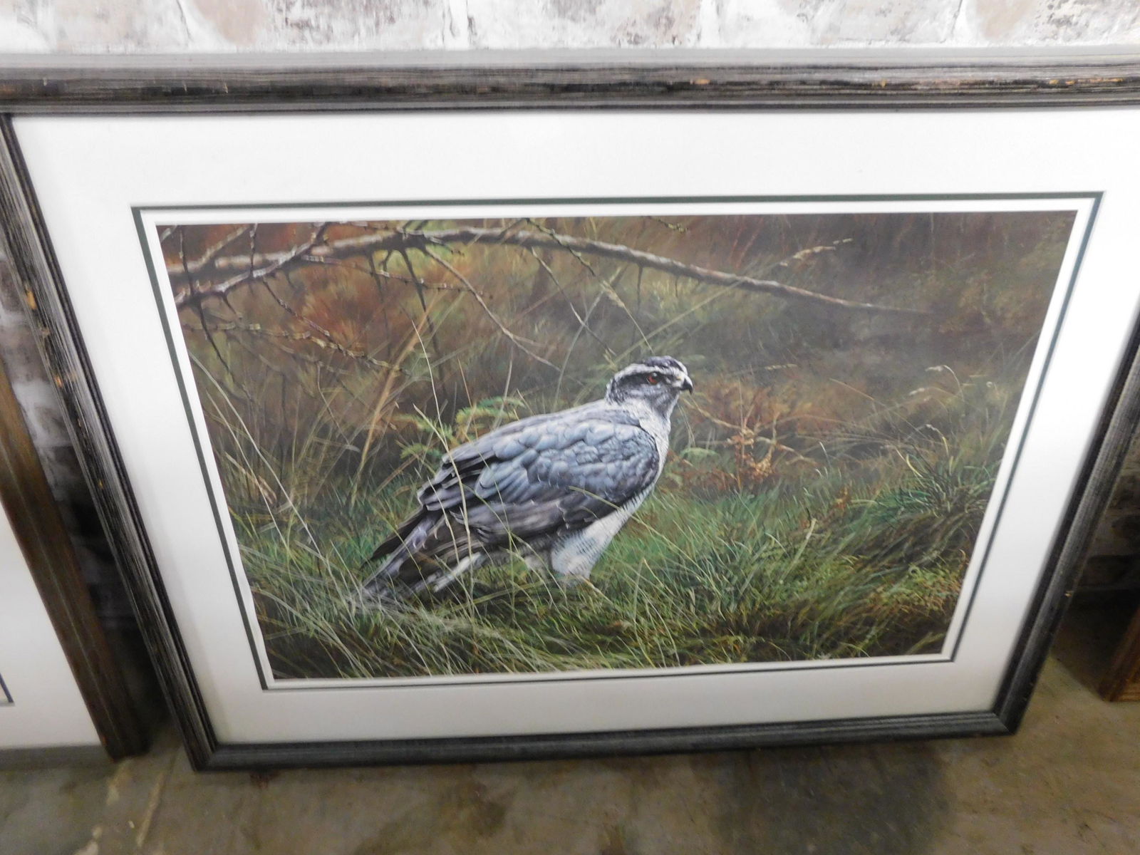 Framed Bird Lithograph (1 of 1)