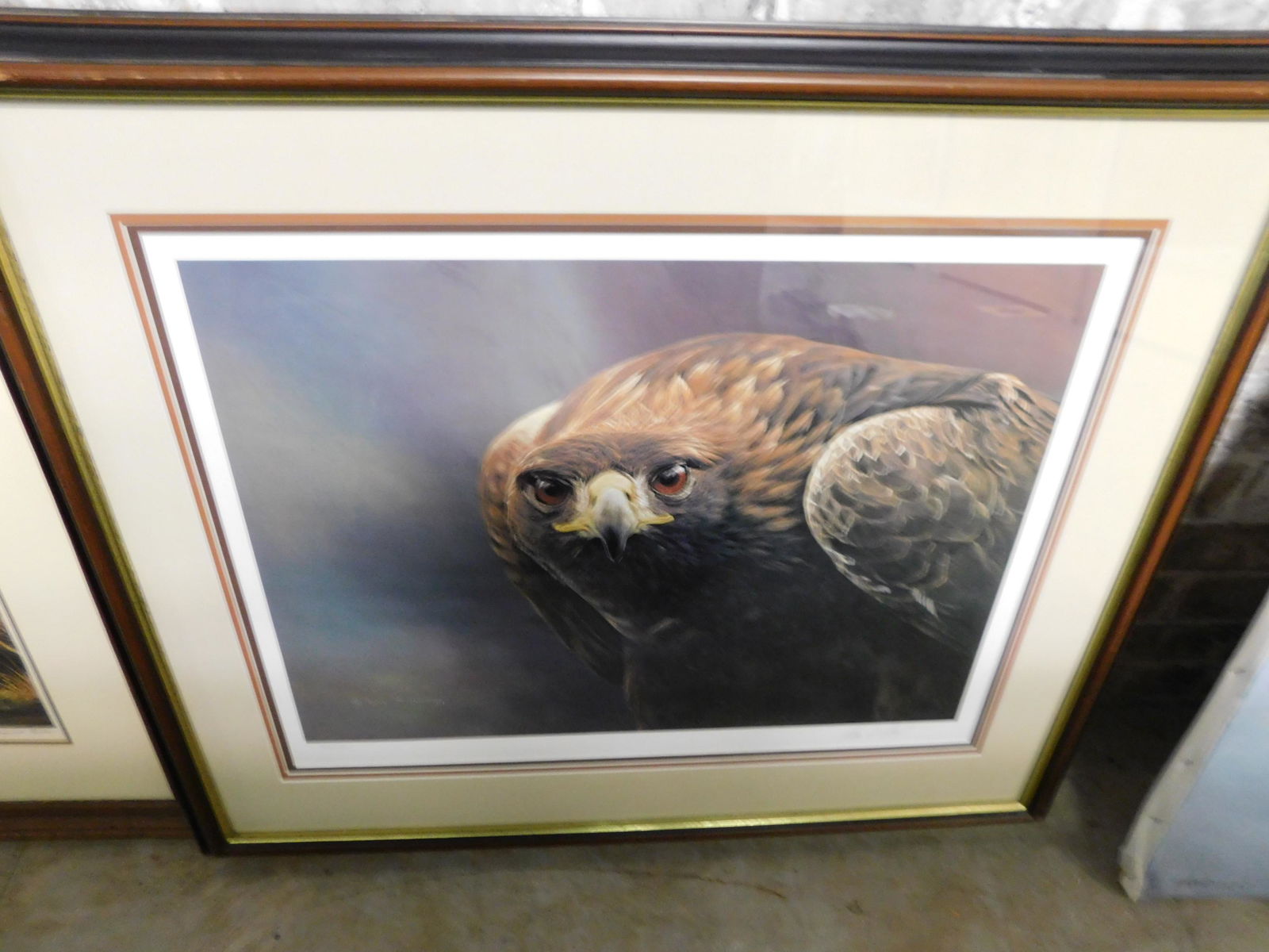 Framed Bald Eagle Lithograph (1 of 1)