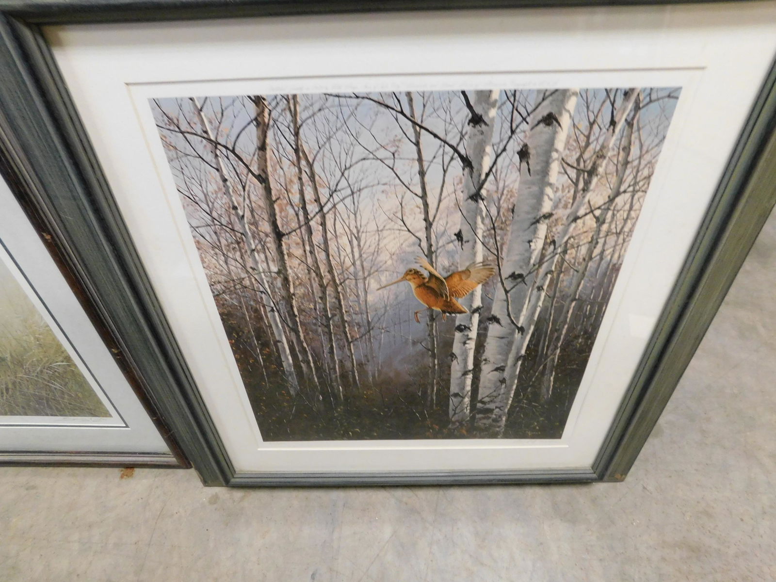 Framed Game Bird Lithograph (1 of 1)