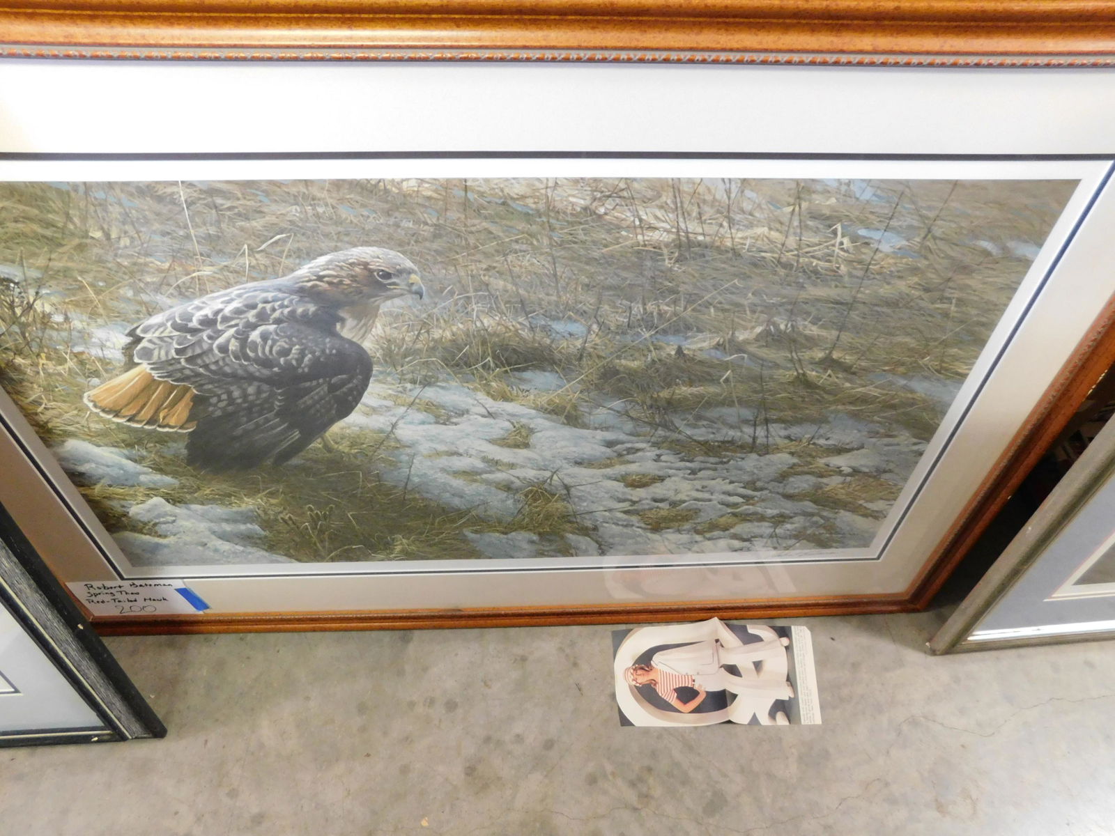 Spring Thaw Red Tailed Hawk Lithograph (1 of 1)