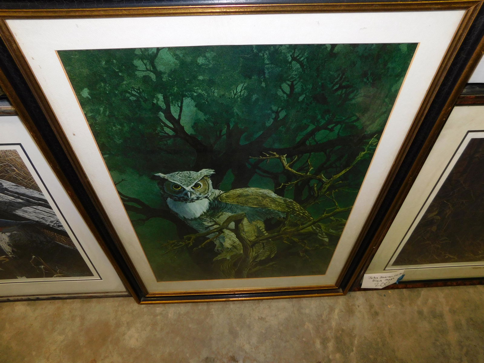 Great Horned Owl Print (1 of 1)