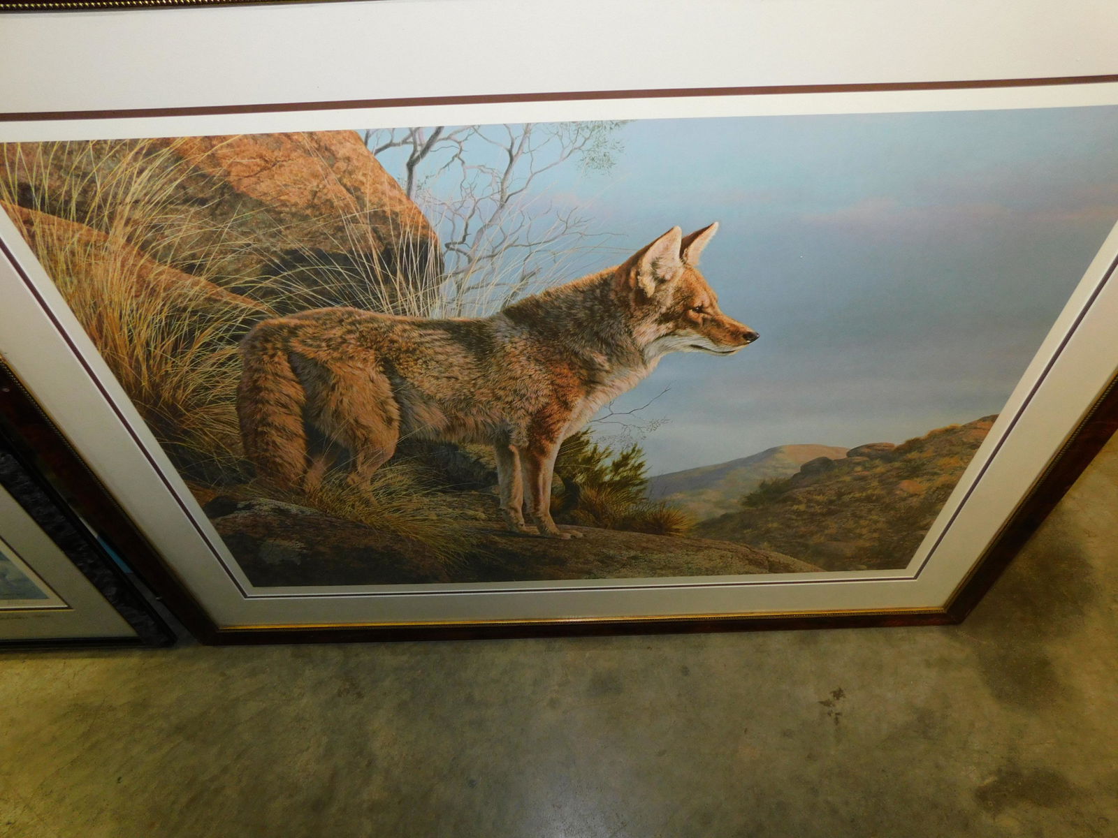"Evening Calm Coyote" Lithograph (1 of 1)