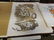 10 unframed Lithographs