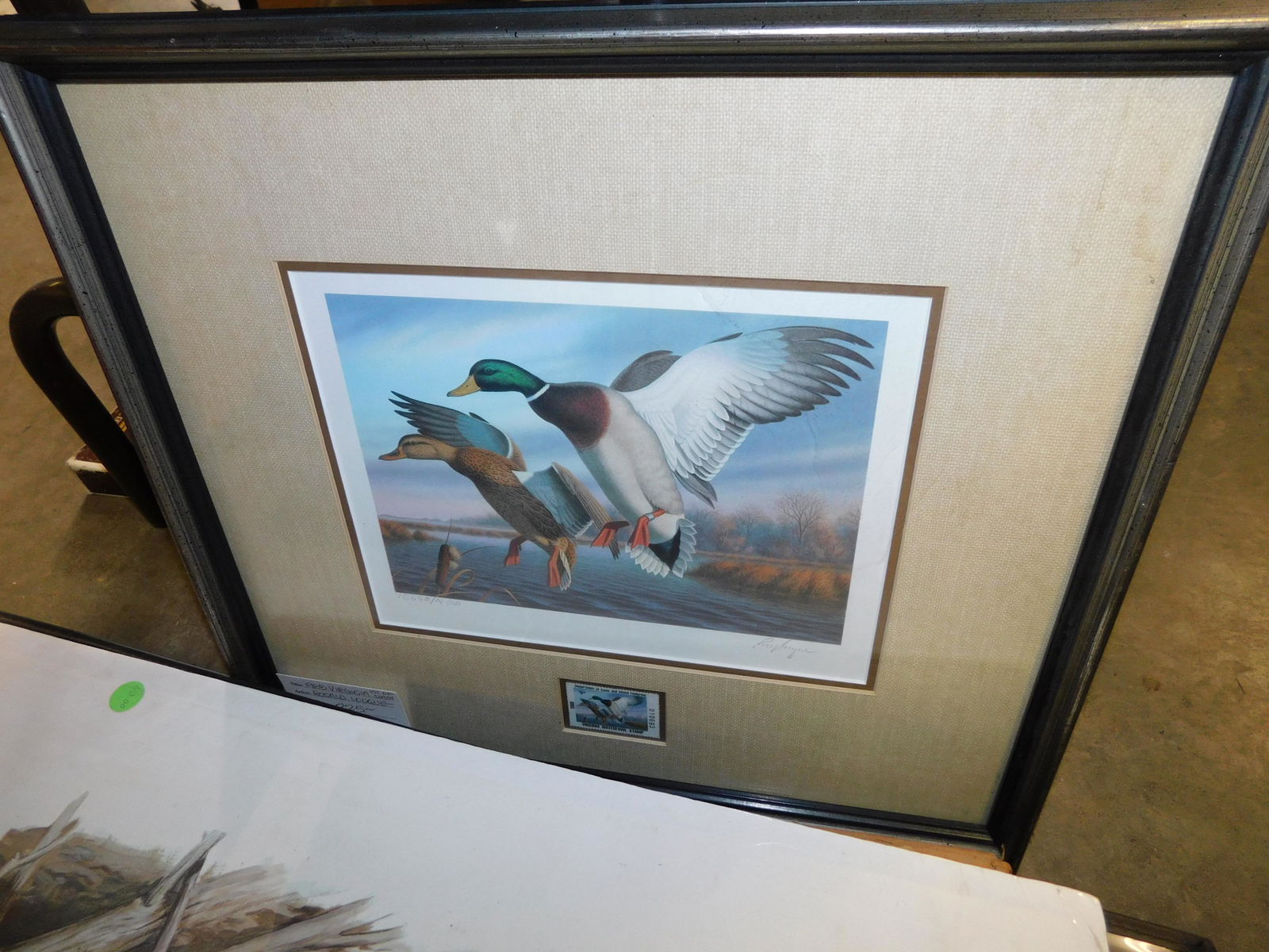 Duck Stamp (1 of 1)