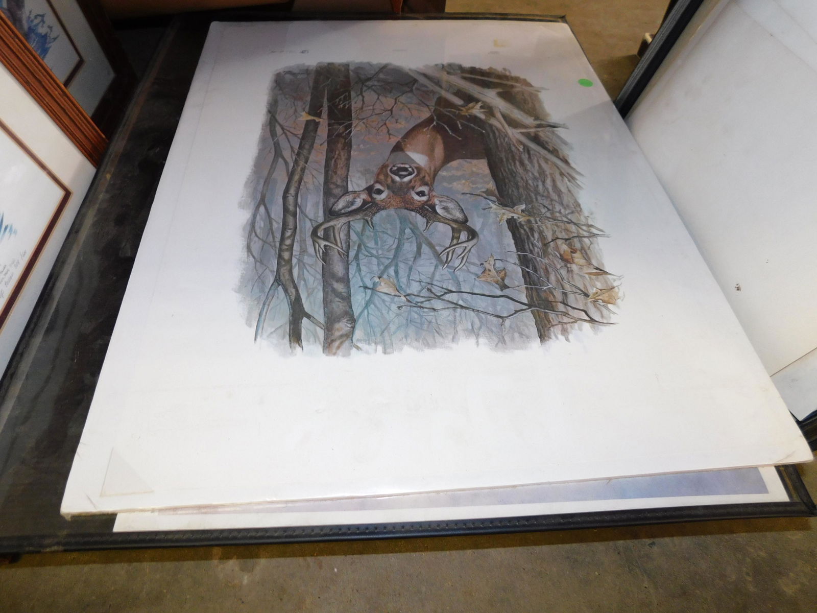 Unframed Duck Lithographs (1 of 1)