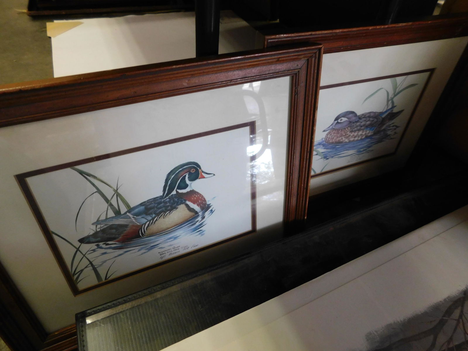 Duck Prints (1 of 2)