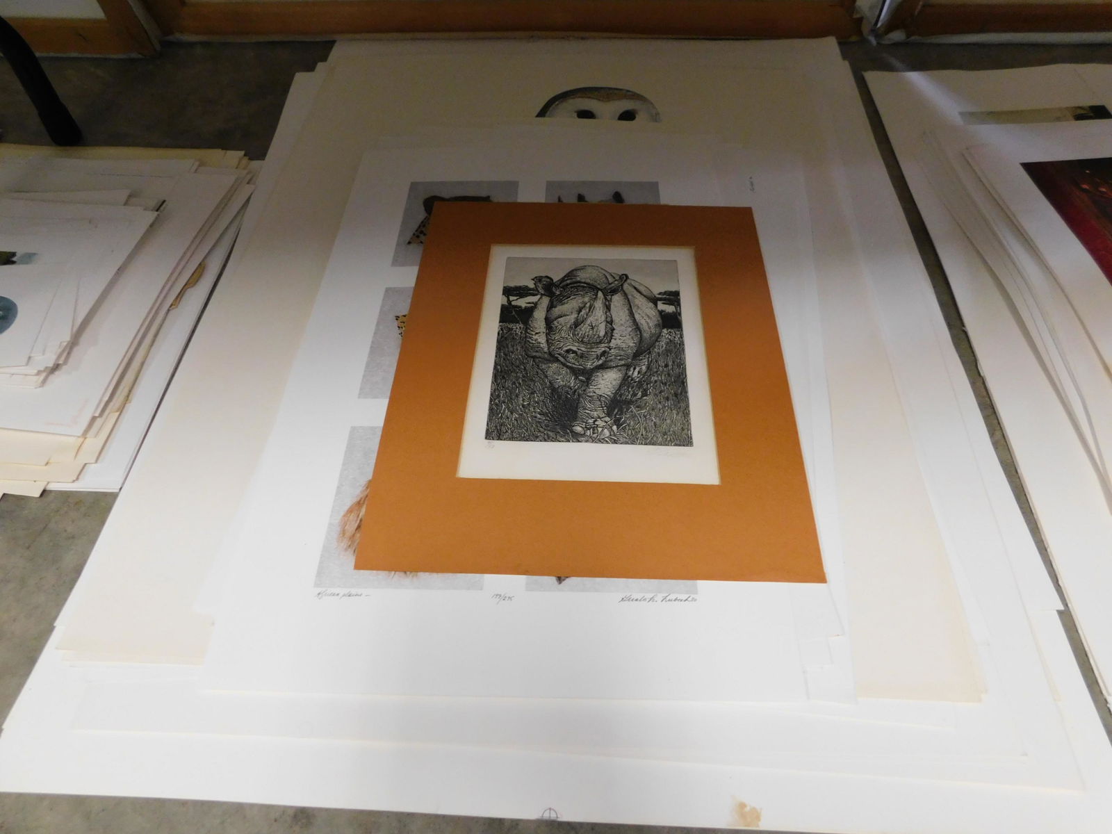15 Unframed Lithographs (1 of 1)