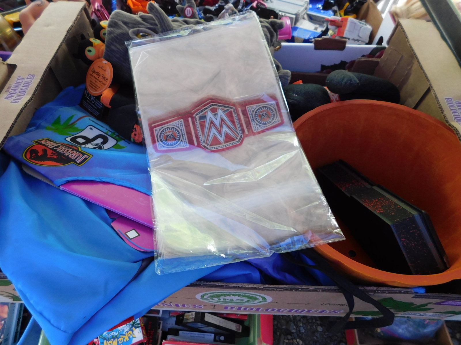 Halloween DÃ©cor and Costumes: Misc. lot of Halloween decorations and costumes. You are bidding at a live sale. Please read the terms and conditions. This sale will be broadcast live on sale day with full descriptions of each lot b