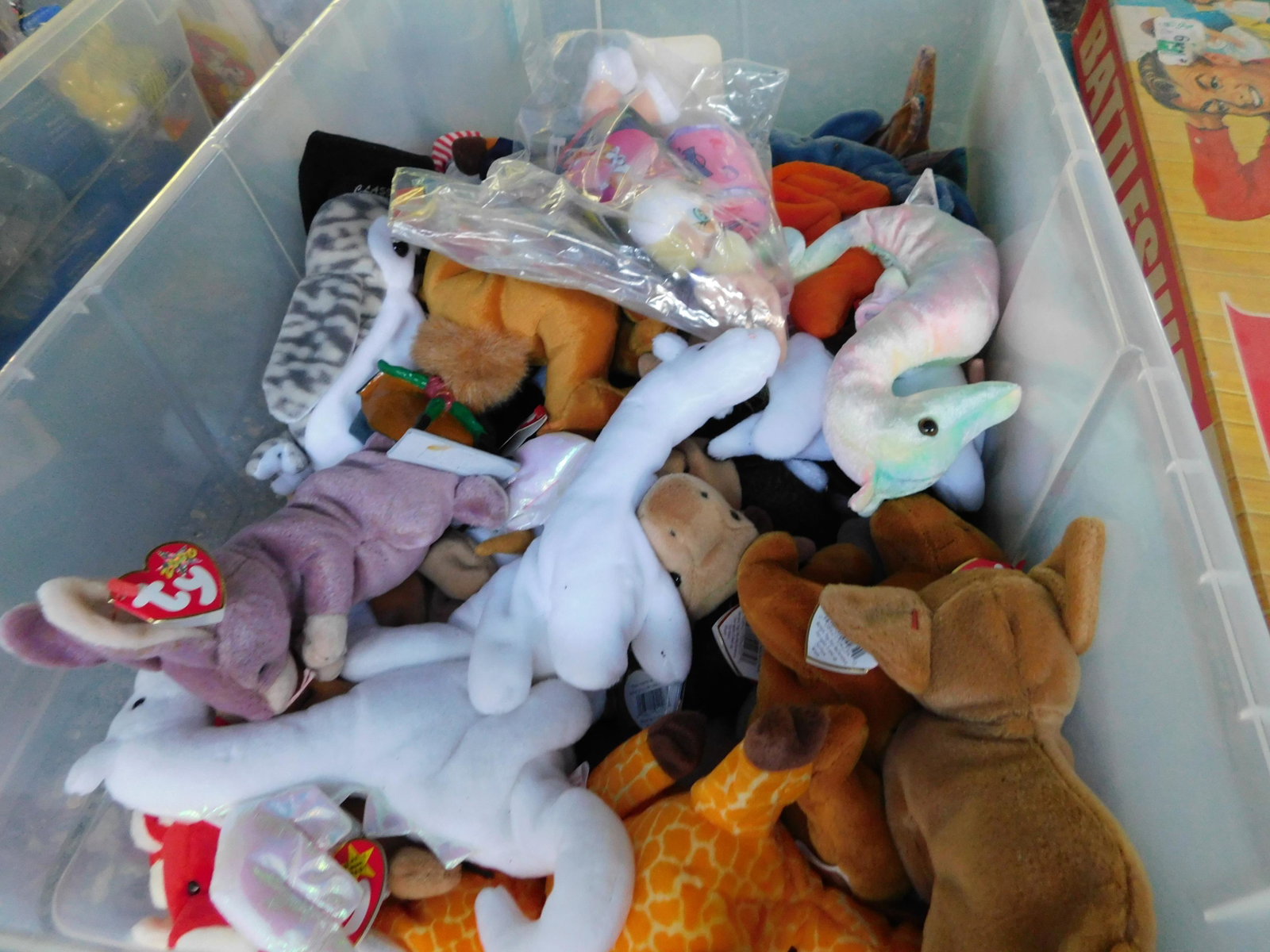Lot of Beanie Babies: Large lot of Beanie Babies. May have some water damage. You are bidding at a live sale. Please read the terms and conditions. This sale will be broadcast live on sale day with full descriptions of eac