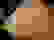 item-87667569=7