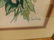 Framed Watercolor Still life Painting - 2
