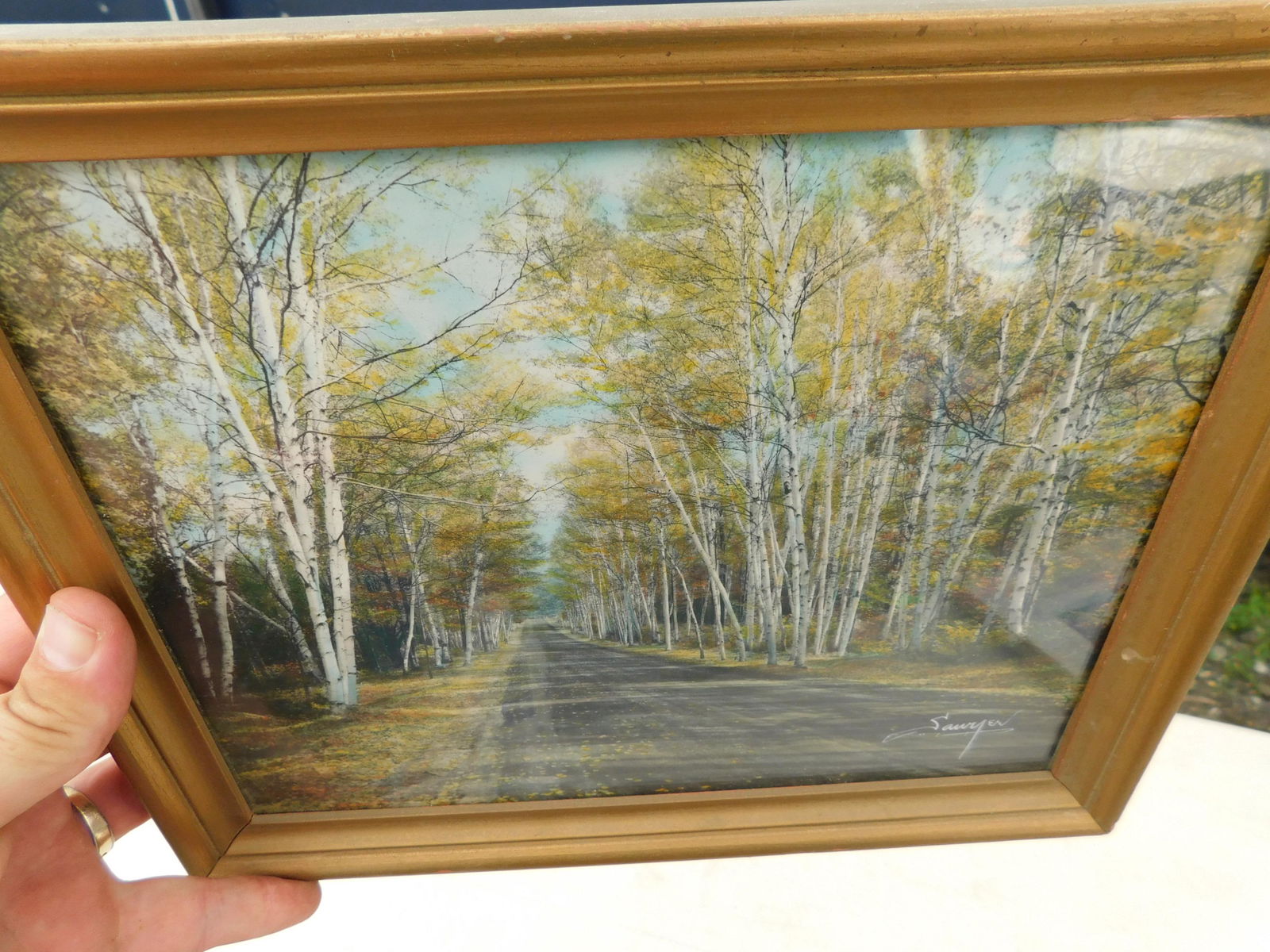 Hand Colored Photo of Birch Tree: Hand Colored Photograph. Signed Souyer. Depicts Birch Tress. Measures 9.5" L x 7.5" T You are bidding at a live sale. Please read the terms and conditions. We are offering no contact pick up at our So