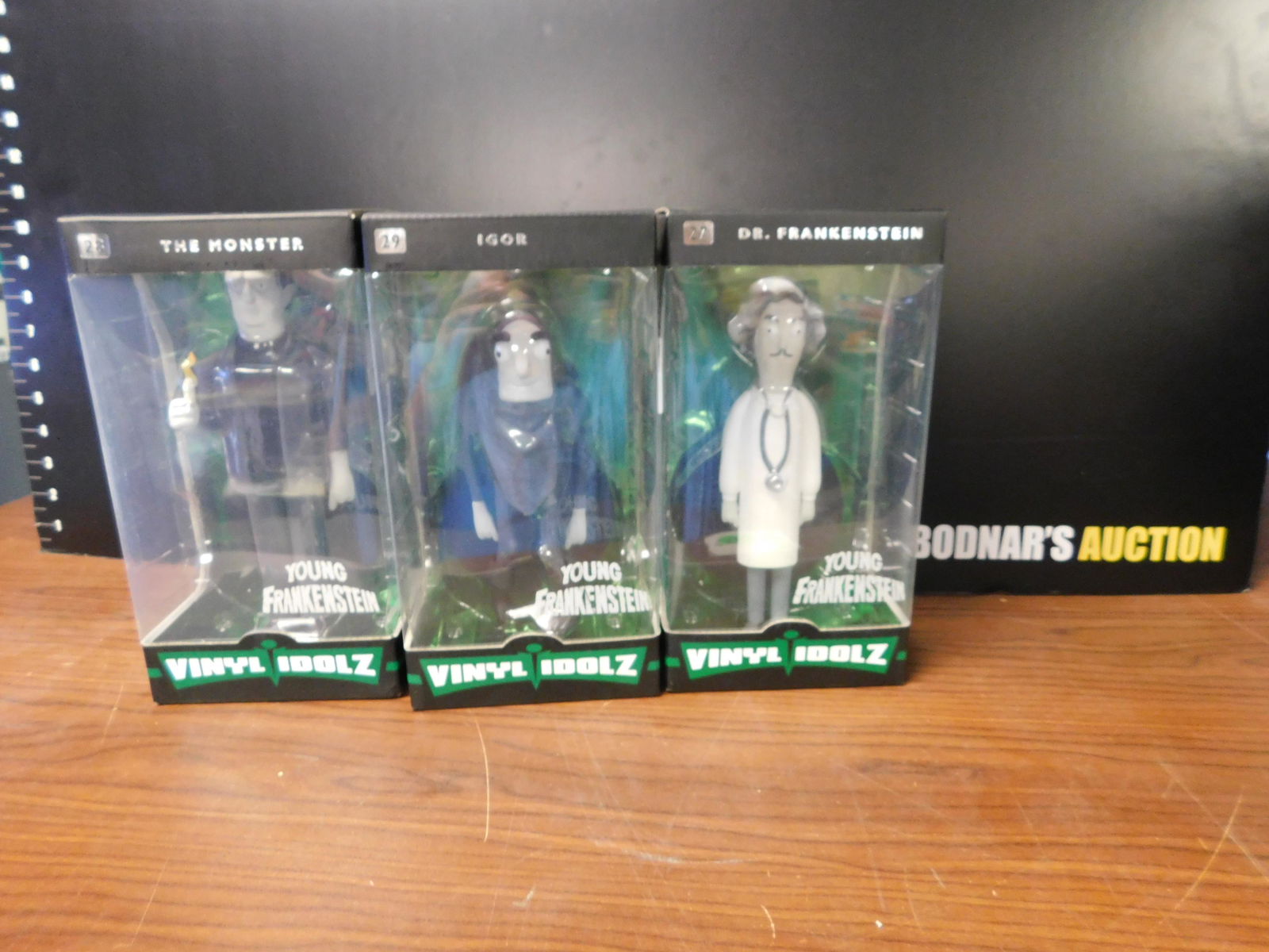 3 Vinyl idolz Young Frankenstein (1 of 4)