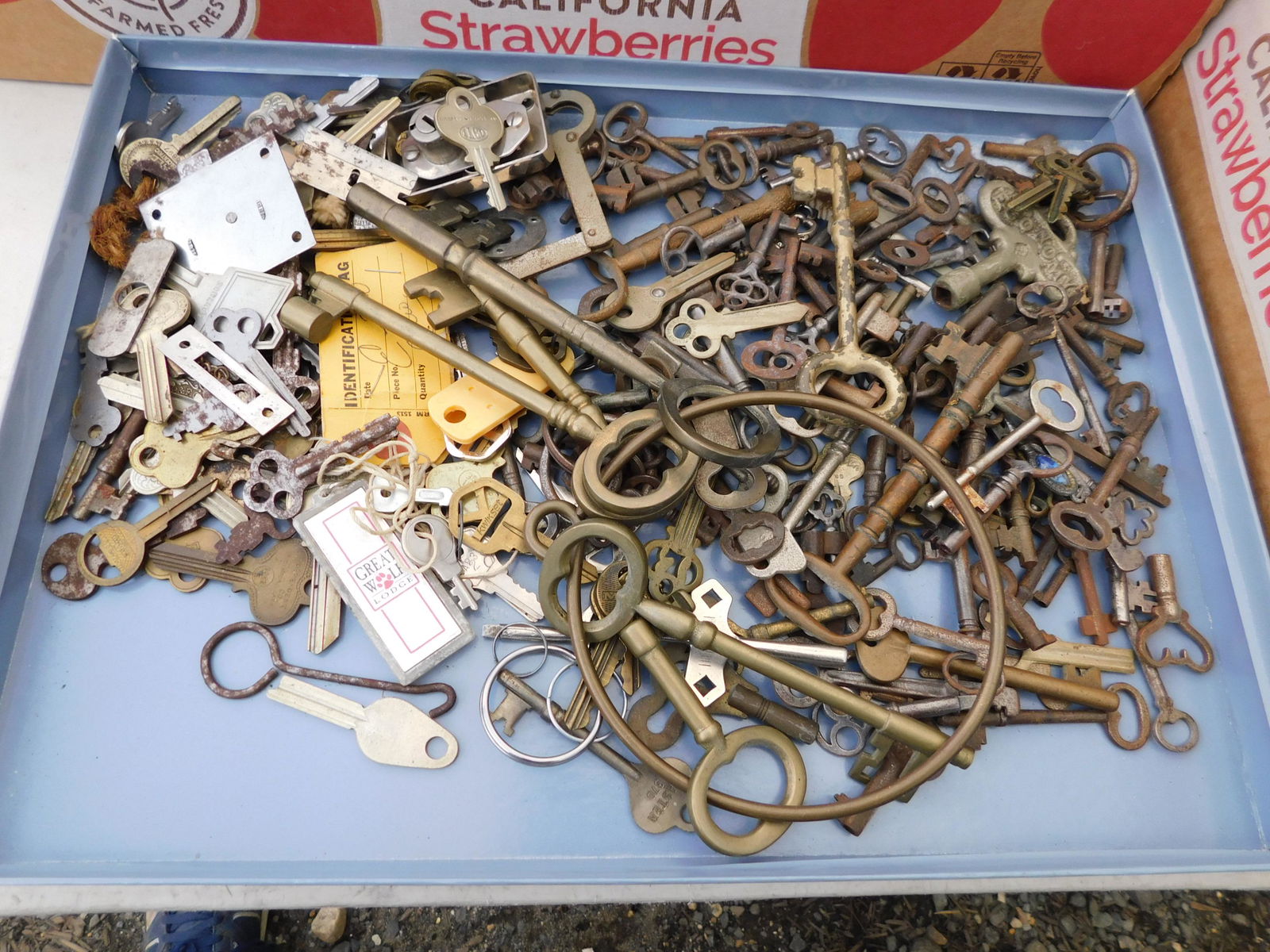 Box Lot of Keys: Box Lot of Keys. You are bidding at a live sale. Please read the terms and conditions. This sale will be broadcast live on sale day with full descriptions of each lot being sold, as well as video feed