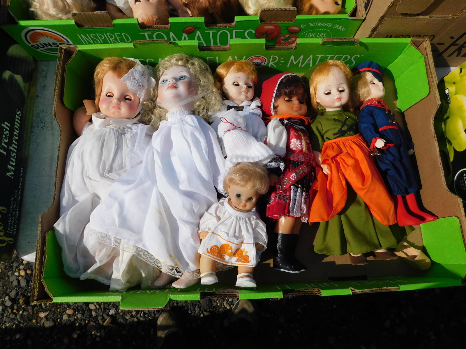Box Lot of Porcelain and Vinyl Dolls (1 of 1)
