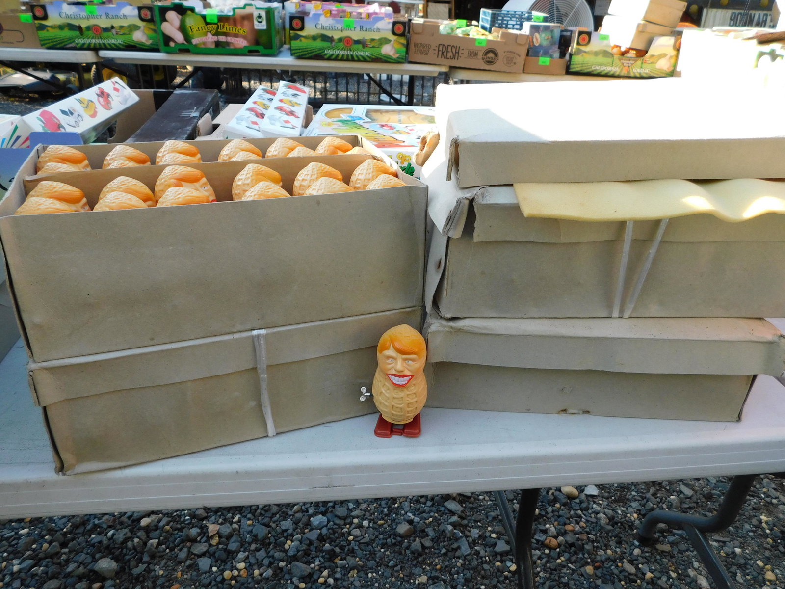 Jimmy Carter Peanuts (1 of 1)