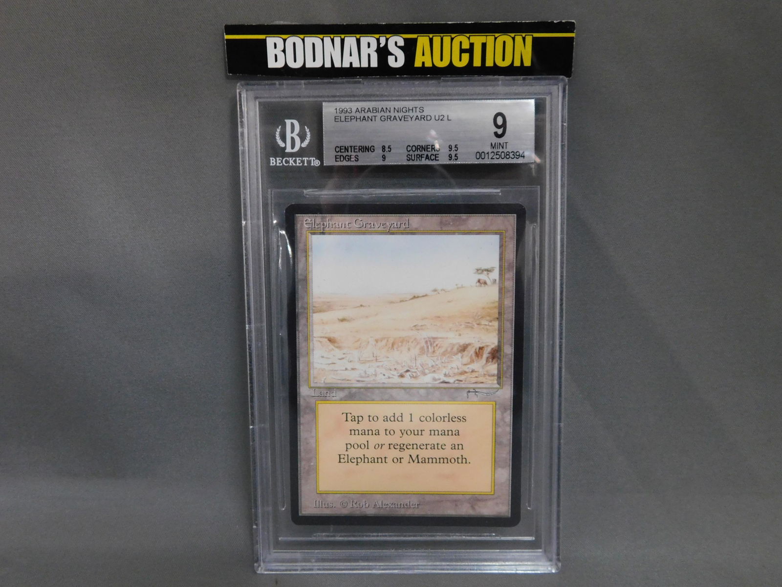 MTG Elephant Graveyard 1993 Arabian Nights - BGS Graded (1 of 3)
