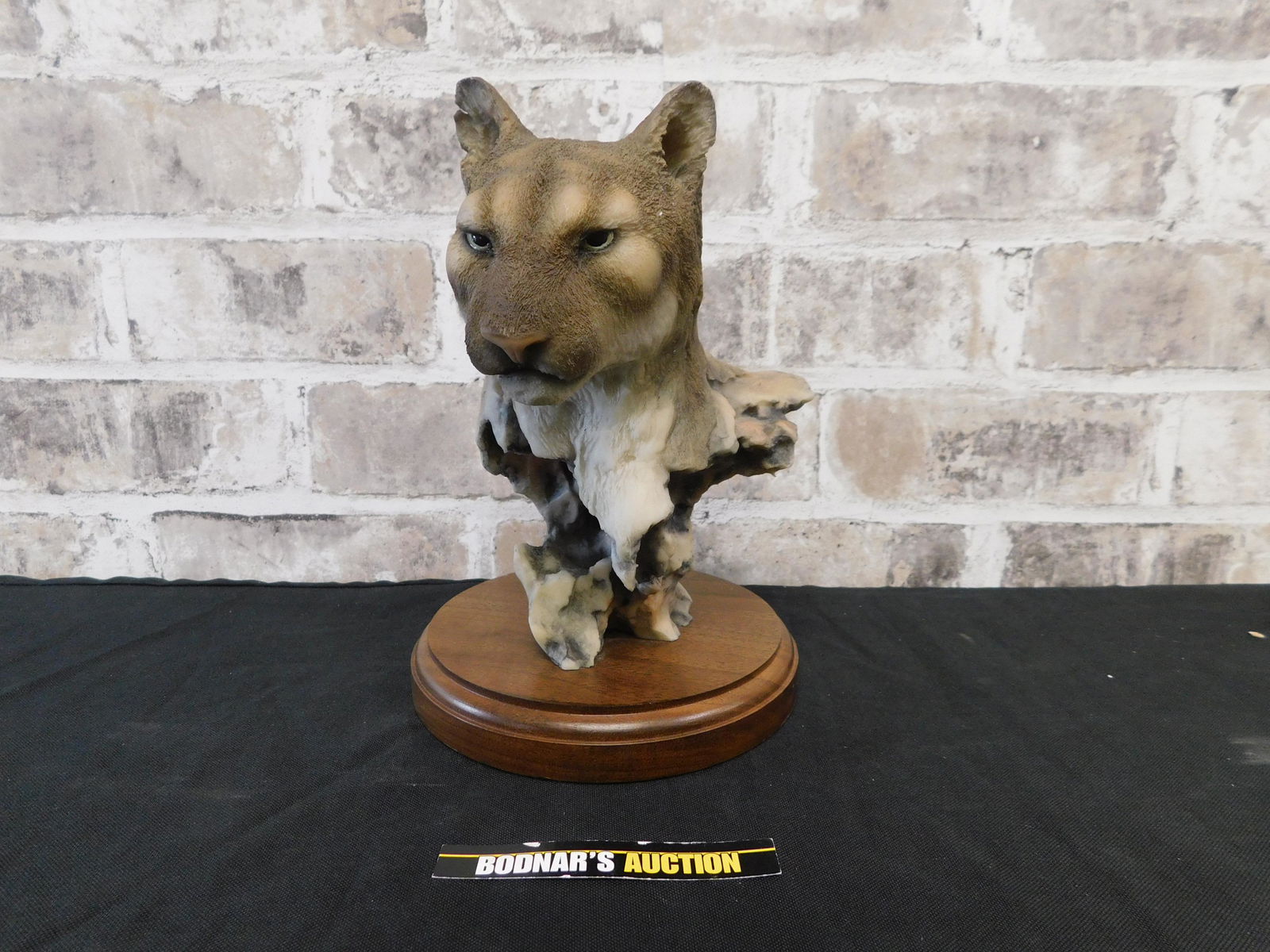 Mill Creek Studio Proud Repose Lion Sculpture (1 of 3)