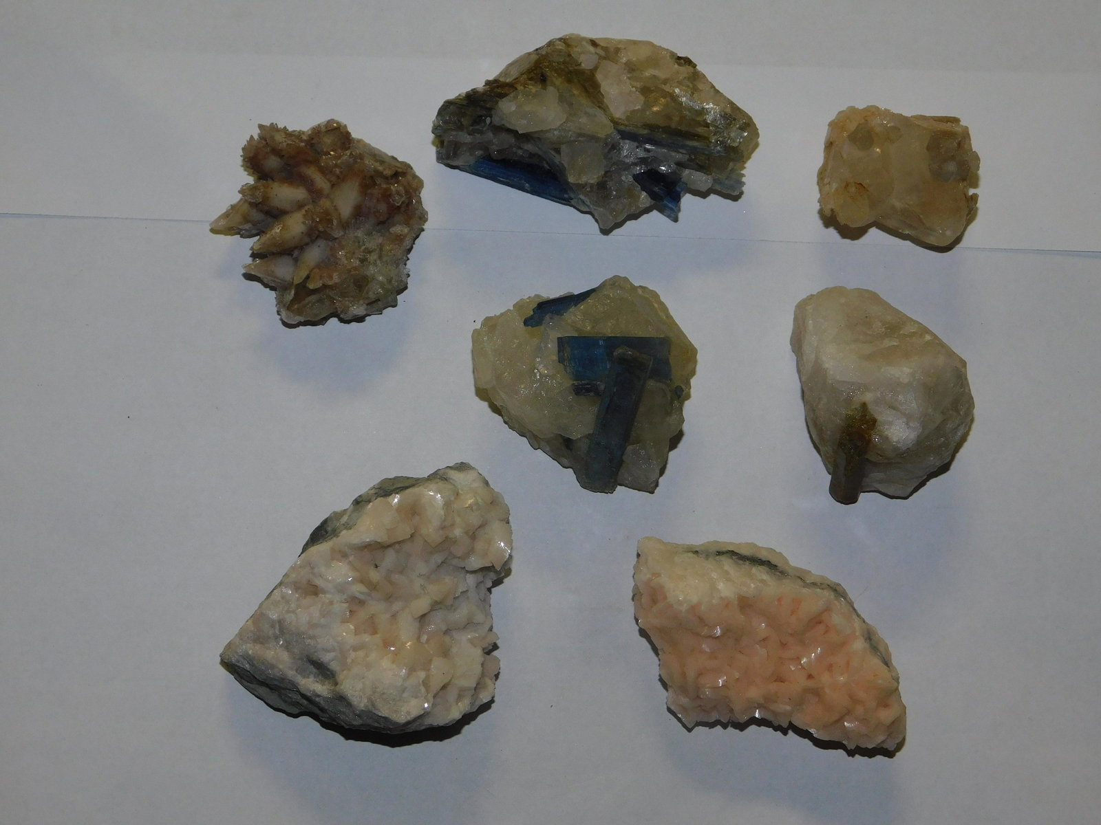 Group Variety of Specimens (1 of 4)