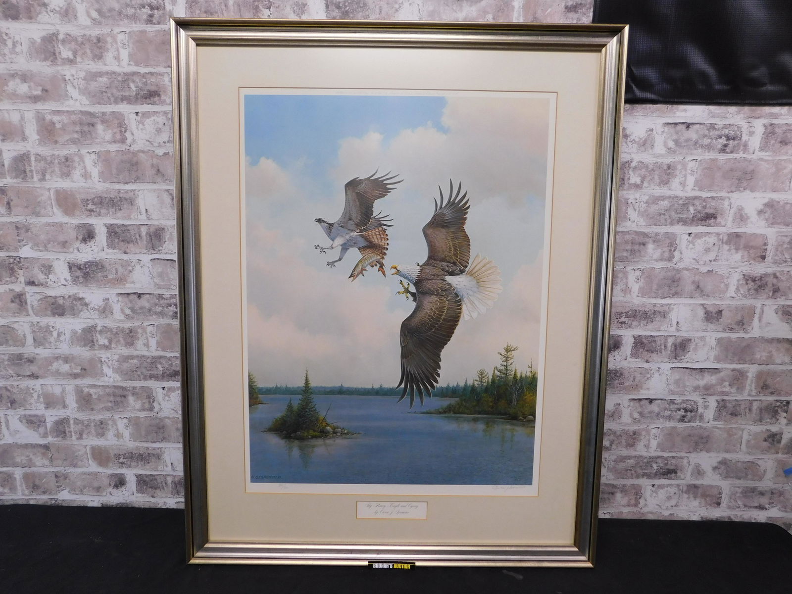 Framed Print of Eagle and Osprey (1 of 4)