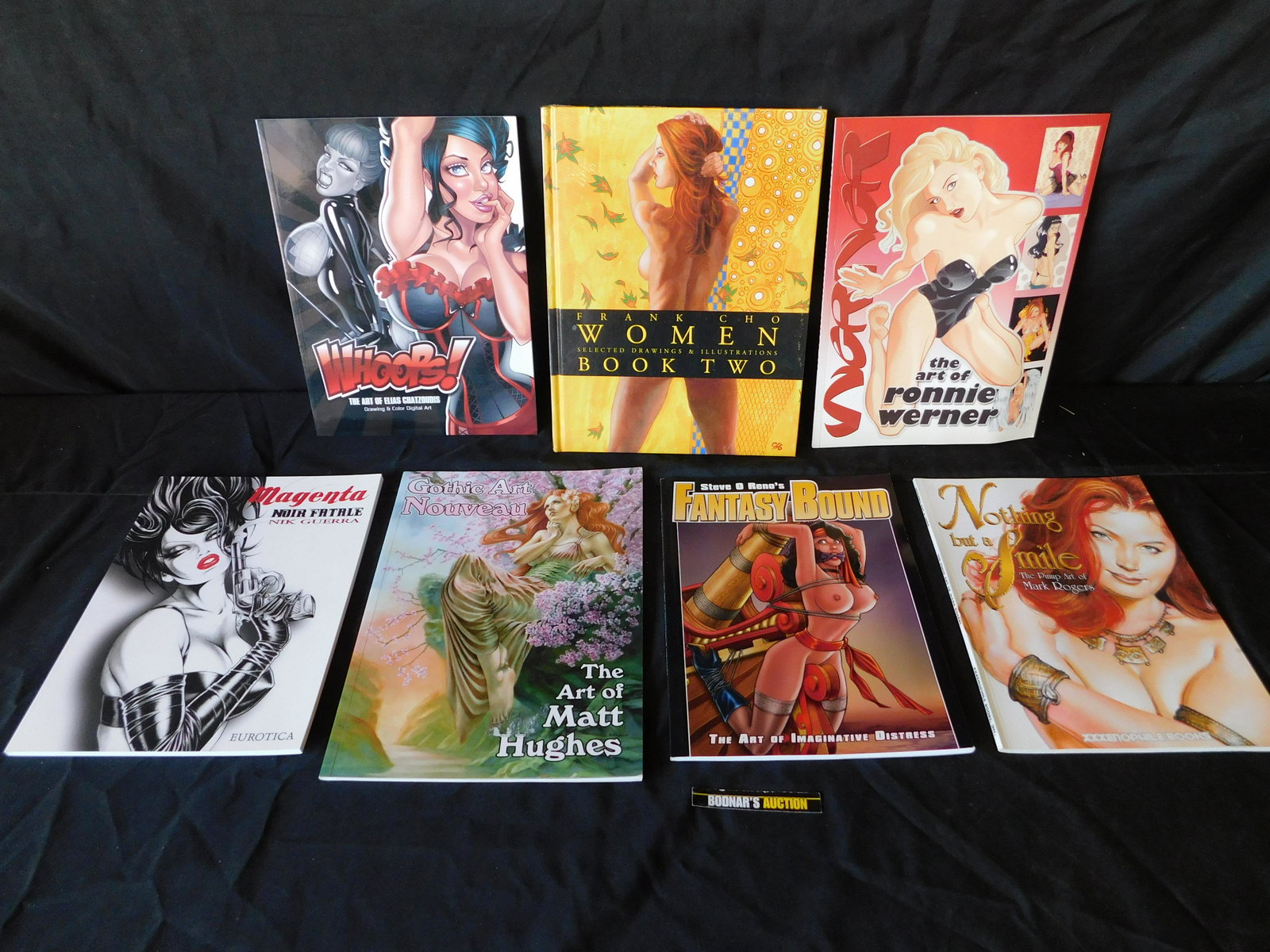Lot of 7 Bad Girl, Gothic and Women Art Related Books: Lot of 7 Bad Girl, Gothic and Women Art Related Books. Included in this lot is a Sealed Hardcover of Frank Cho. Also includer are Softcovers of Whoops, The Art of Ronnie Warner, Nothing But a Smile, G