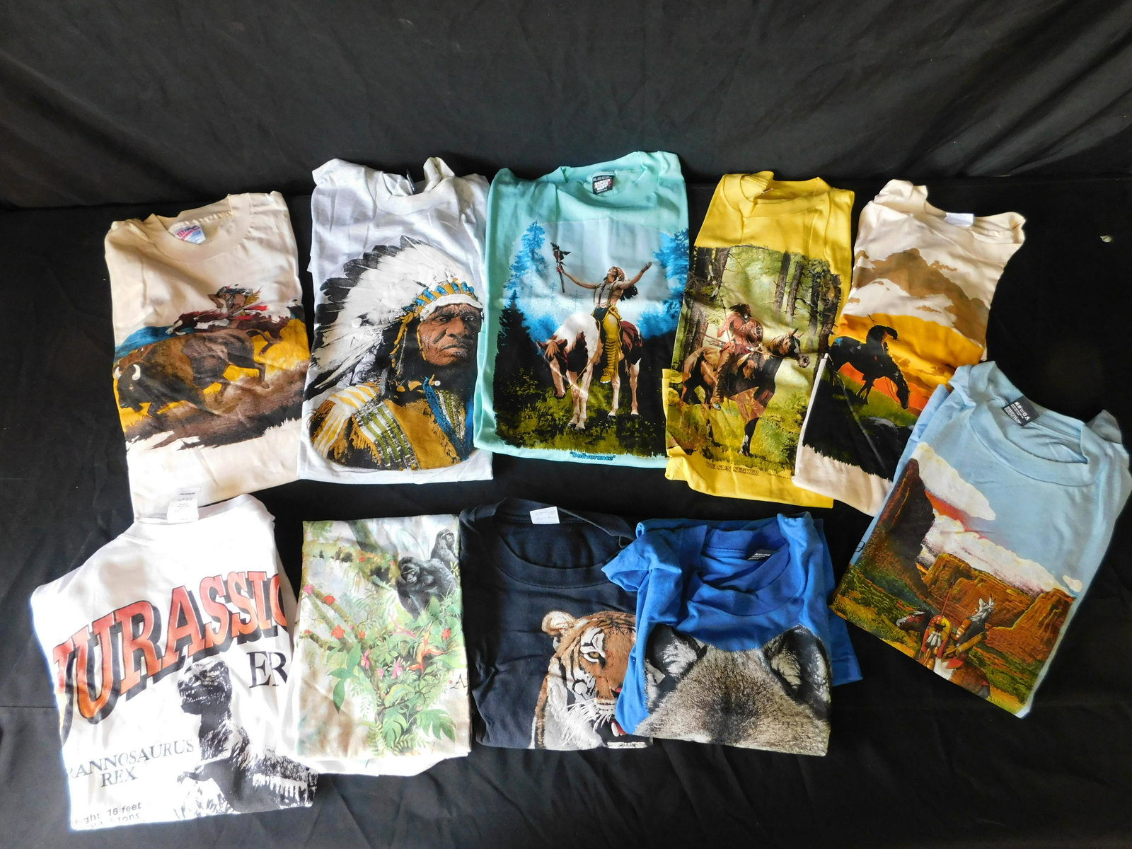 Lot of 10 Vintage T-Shirts including Native American (1 of 3)