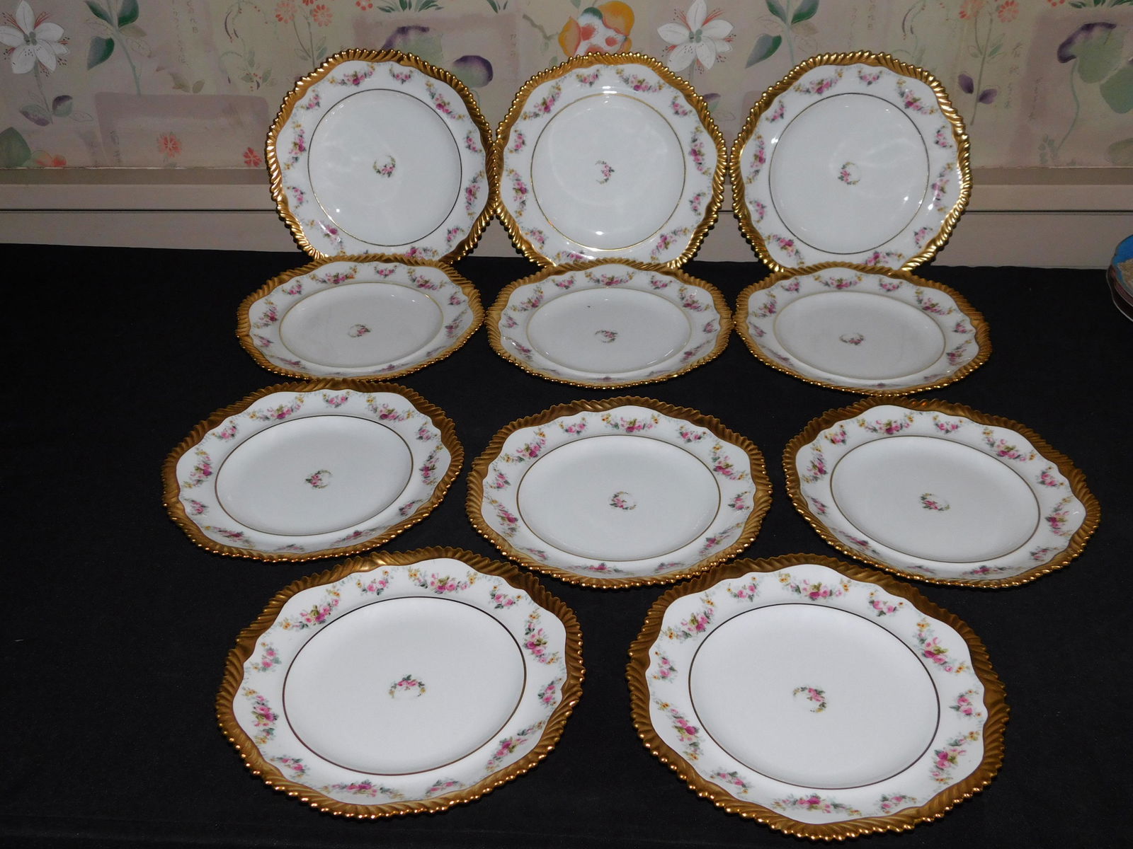 Set of 11 Hand Painted Limoges Plates (1 of 6)