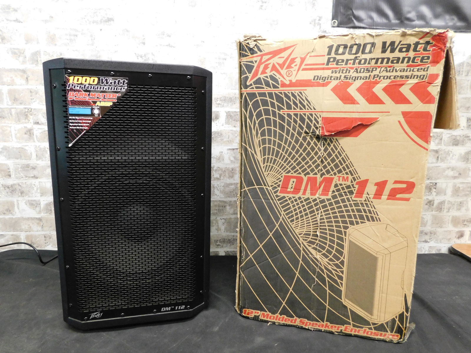 Peavey 1000 Watt Performance DM 113 (1 of 9)