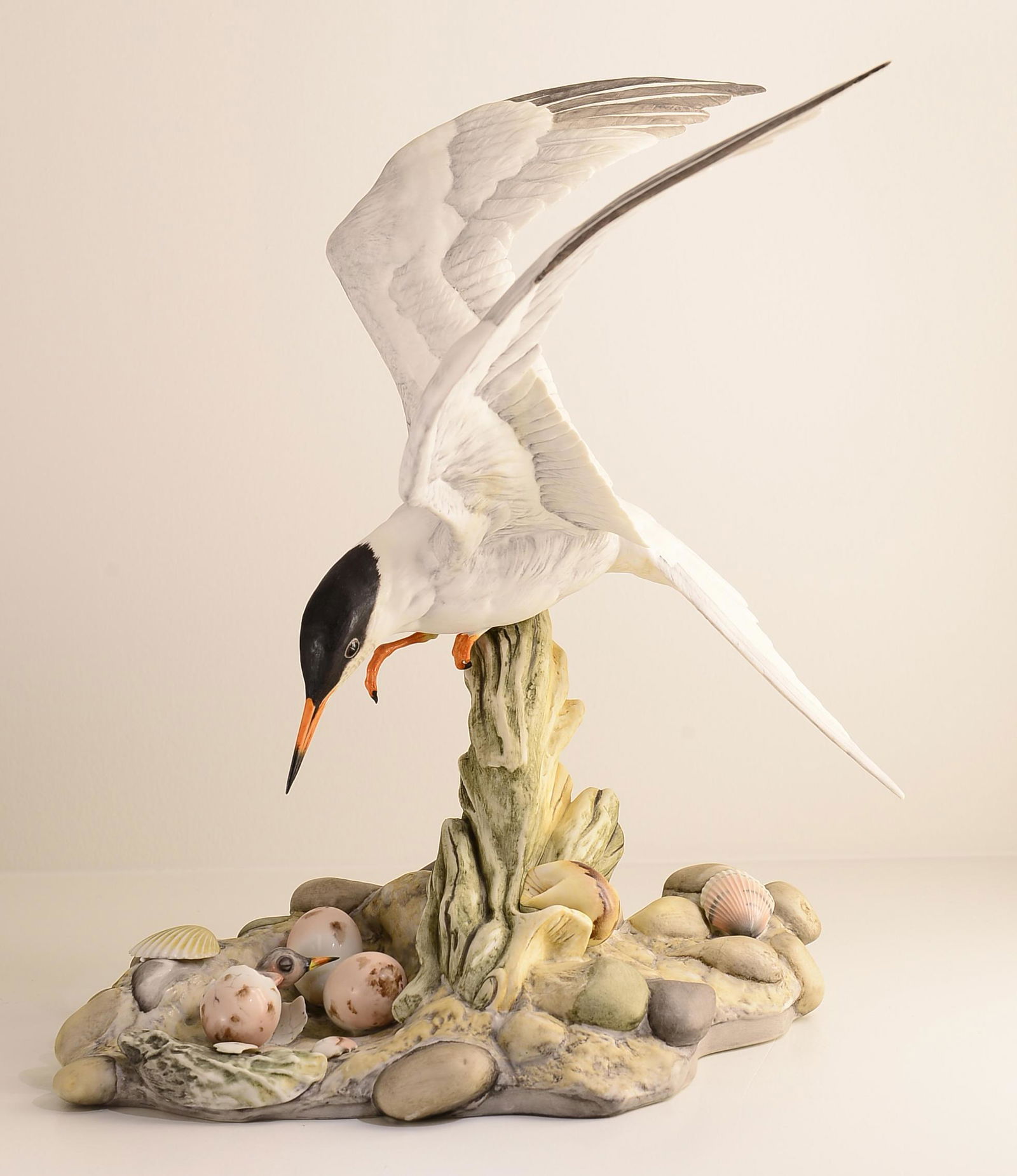 Boehm "COMMON TERN" 497 (1 of 1)